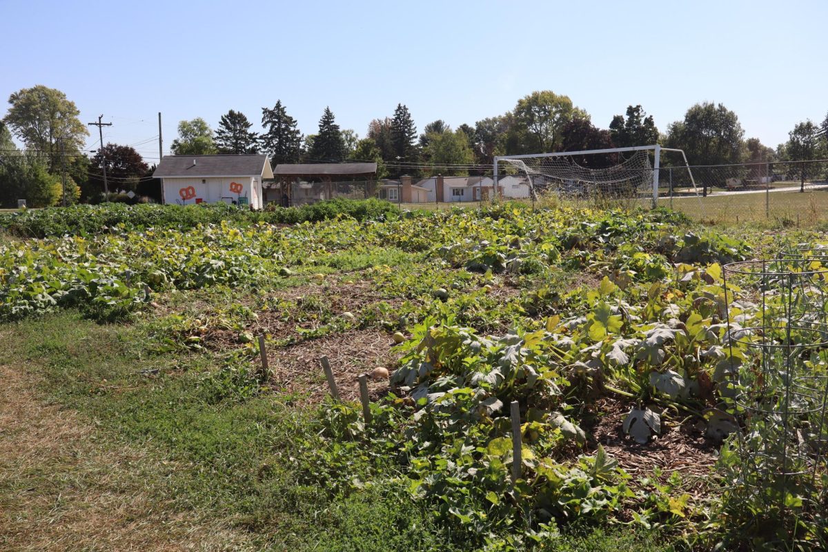 FHS Student Garden Donates Thousands of Pounds to Freeport Residents
