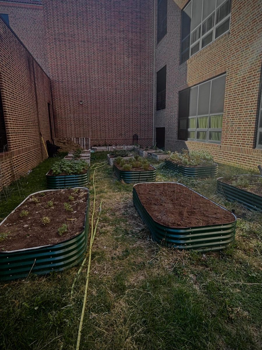 New Blooms: FHS Courtyard to Get Flowerful Revamp